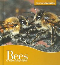 Produktbild: BEES