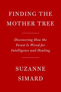 Produktbild: Simard, S: Finding the Mother Tree