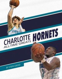 Produktbild: Charlotte Hornets