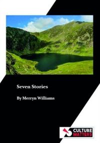 Produktbild: Williams, M: Seven Stories