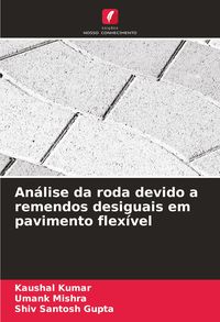Produktbild: An&aacute;lise da roda devido a remendos desiguais em pavimento flex&iacute;vel
