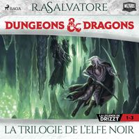 Produktbild: Compilation Dungeons & Dragons 1&ndash;3: La Trilogie de l'Elfe Noir