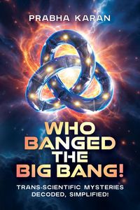 Produktbild: Who Banged the Big Bang!