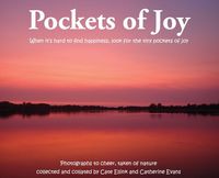 Produktbild: Pockets of Joy