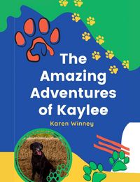 Produktbild: The Amazing Adventures of Kalyee