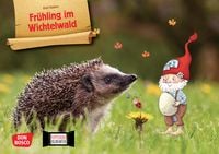 Produktbild: Fr&uuml;hling im Wichtelwald. Kamishibai Bildkartenset