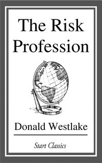 Produktbild: The Risk Profession