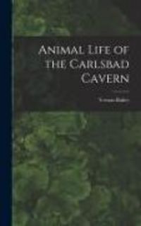 Produktbild: Animal Life of the Carlsbad Cavern
