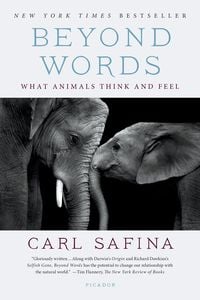 Produktbild: Beyond Words