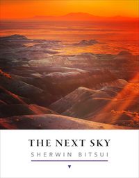 Produktbild: The Next Sky