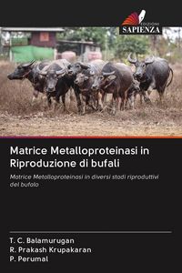 Produktbild: Matrice Metalloproteinasi in Riproduzione di bufali