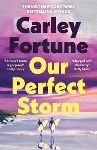 Produktbild: Our Perfect Storm
