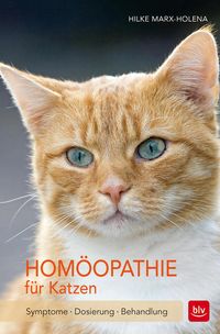 Bild vom Artikel Homöopathie für Katzen vom Autor Hilke Marx-Holena