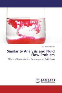 Produktbild: Uddin, M: Similarity Analysis and Fluid Flow Problem