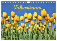 Produktbild: Tulpentraum (Wandkalender 2026 DIN A4 quer), CALVENDO Monatskalender