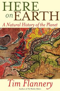 Produktbild: Here on Earth