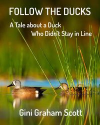 Produktbild: Follow the Ducks