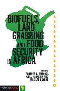 Produktbild: Biofuels, Land Grabbing and Food Security in Africa