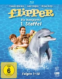 Bild vom Artikel Flipper - Die komplette 1. Staffel  (Fernsehjuwelen)  [3 BRs] vom Autor Brian Kelly