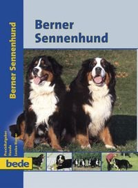 Produktbild: Berner Sennenhund