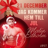 Produktbild: 21 december: Jag kommer hem till jul - en erotisk julkalender