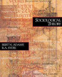 Produktbild: Sociological Theory