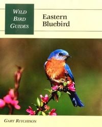 Produktbild: Wild Bird Guide