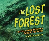 Produktbild: Lost Forest