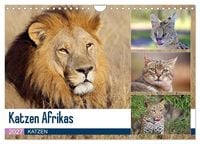 Produktbild: Katzen Afrikas (Wandkalender 2027 DIN A4 quer), CALVENDO Monatskalender