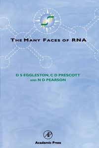 Produktbild: The Many Faces of RNA