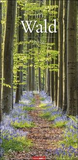 Bild vom Artikel Im Wald Kalender 2024. Die heimischen Wälder in faszinierenden Fotos dargestellt in einem XL Kalender. Bäume und Co. in einem länglichen Kalender. vom Autor 