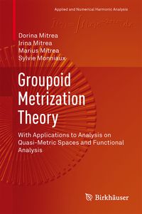 Produktbild: Groupoid Metrization Theory