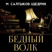 Produktbild: The Poor Wolf