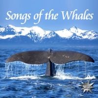 Produktbild: Songs Of The Whales
