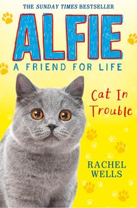 Produktbild: Alfie Cat In Trouble