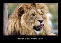Produktbild: L&ouml;wen in der Wildnis 2027 Fotokalender DIN A3