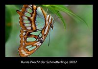 Produktbild: Bunte Pracht der Schmetterlinge 2027 Fotokalender DIN A3
