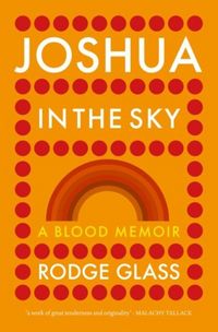 Produktbild: Joshua in the Sky
