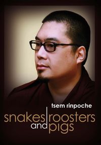 Produktbild: Snakes, roosters & pigs
