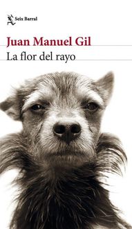 Produktbild: La flor del rayo