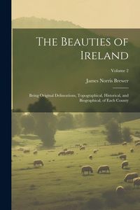 Produktbild: The Beauties of Ireland: Being Original Delineations, Topographical, Historical, and Biographical, of Each County; Volume 2