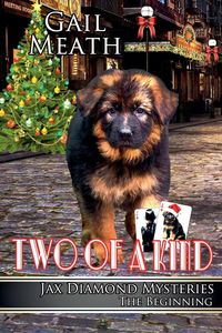 Produktbild: Two of a Kind - The Beginning