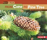 Produktbild: From Cone to Pine Tree
