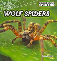 Produktbild: Wolf Spiders