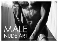 Produktbild: Male Nude Art (Wall Calendar 2026 DIN A3 landscape), CALVENDO 12 Month Wall Calendar