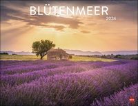 Bild vom Artikel Blütenmeer Posterkalender 2024 vom Autor 