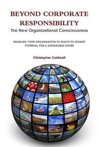 Produktbild: Beyond Corporate Responsibility