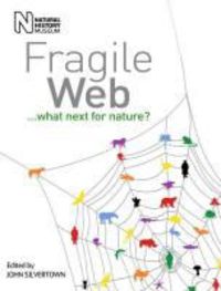 Produktbild: Fragile Web