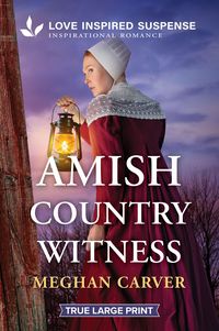 Produktbild: Amish Country Witness
