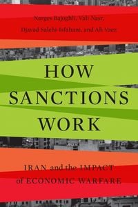 Produktbild: How Sanctions Work